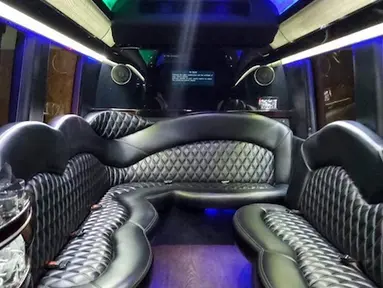 Mercedes Sprinter Limo 3