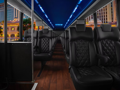 White Group Passenger Transport