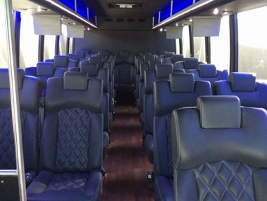White Group Passenger Transport
