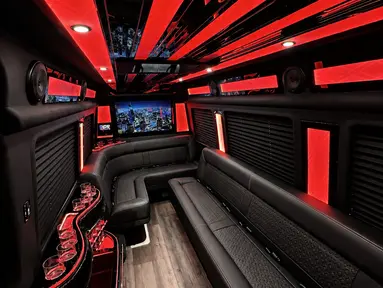 Mercedes-Benz Sprinter Limo 6